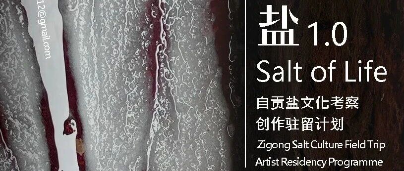 生命之盐1.0 封面