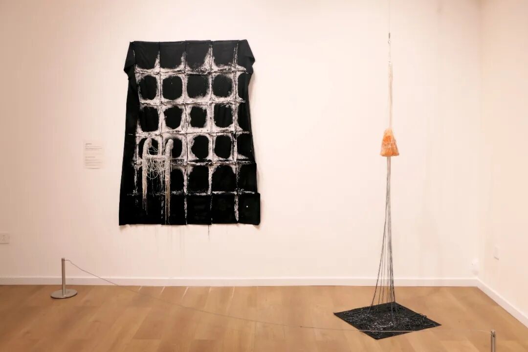 王梓楠作品